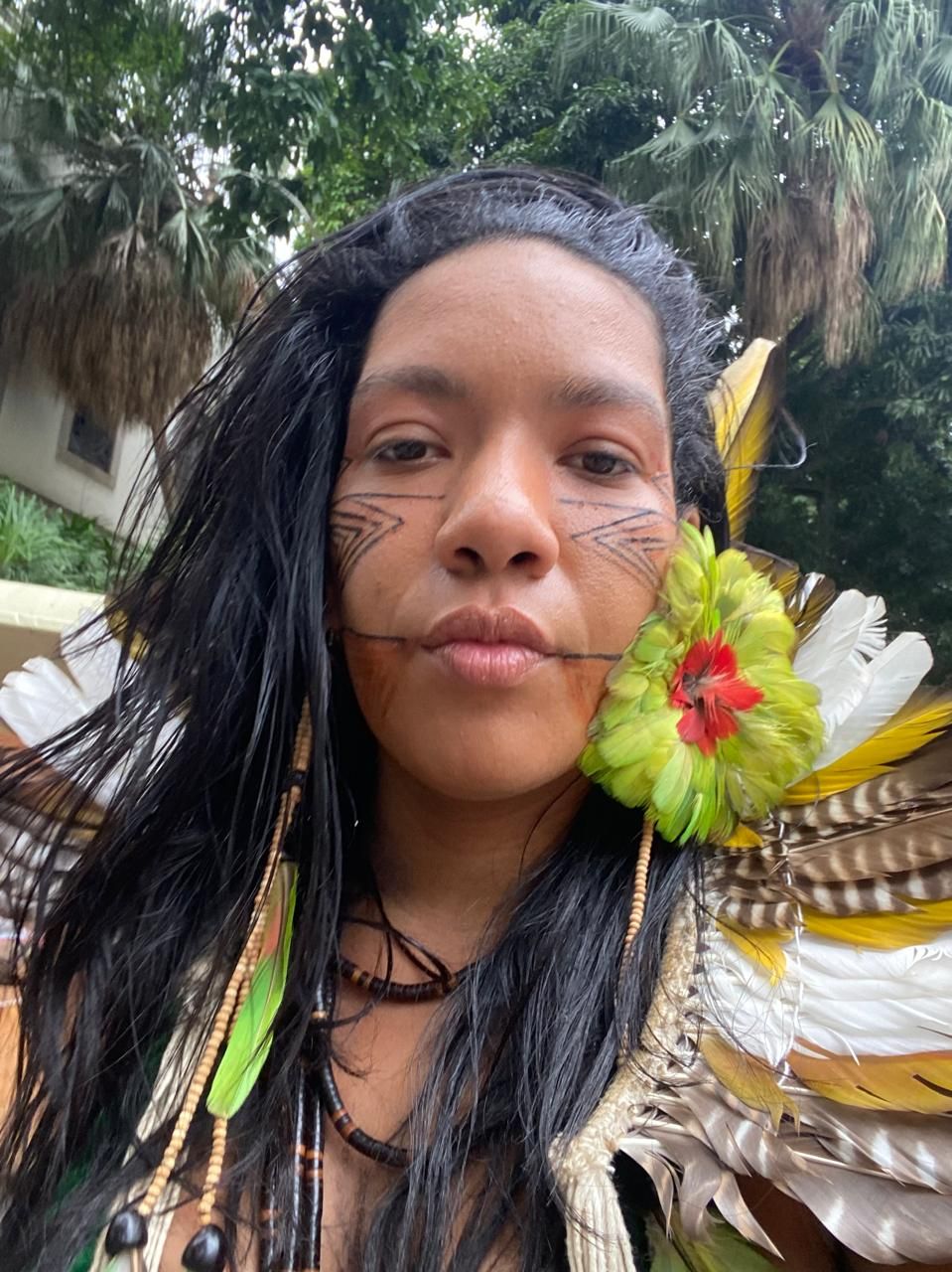 Cocar de plumas e flor